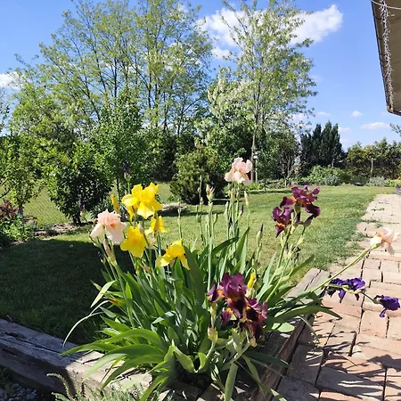 Tatil Evi Domcek Nové Zámky